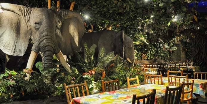 Jungle Guestlist - London Night Guide