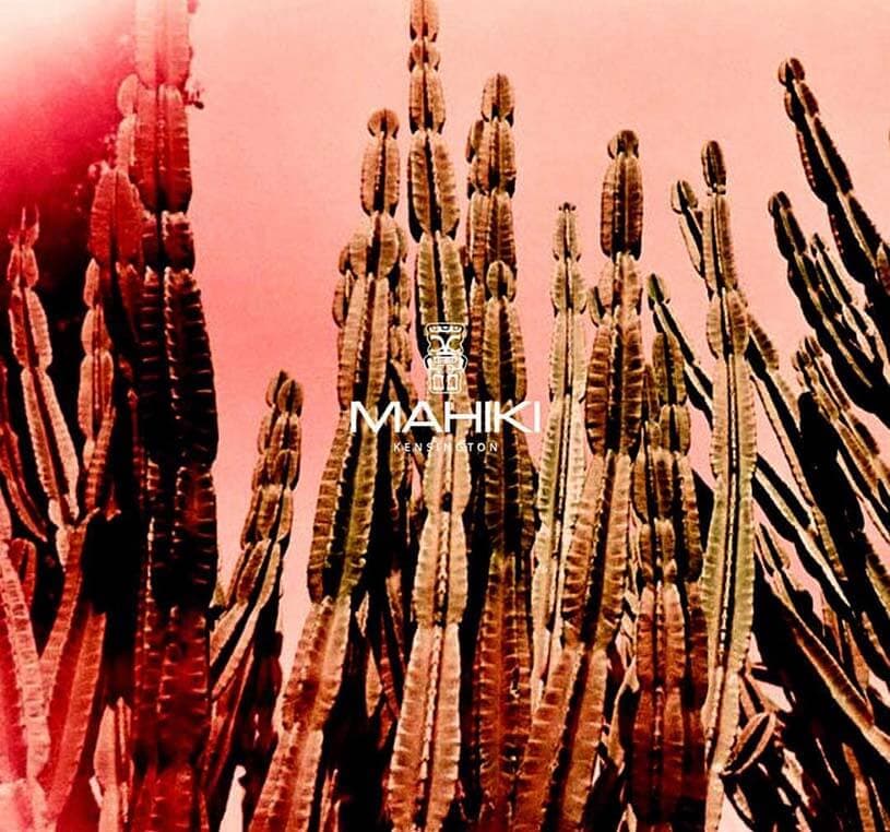 Mahiki Kensington Friday!