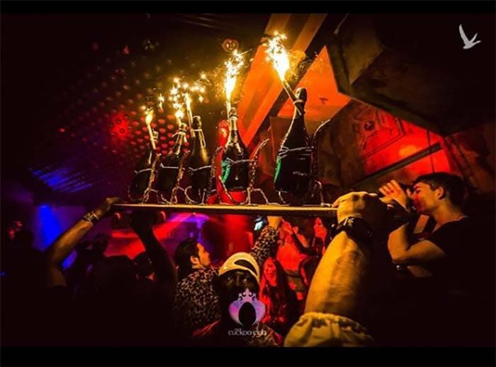 Friday fun time at Cuckoo London!