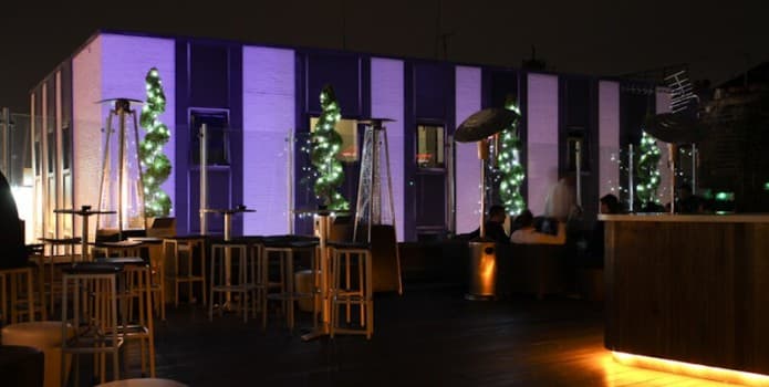 GOLDEN BEE - photo 1