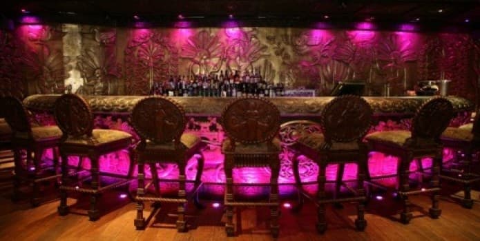 Coya - photo 3