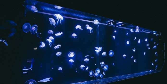 REIGN CLUB TABLE BOOKING - photo 2