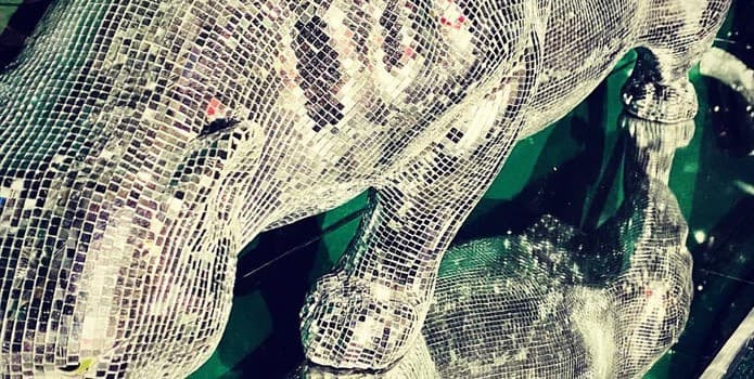 WYLD CLUB LONDON GUESTLIST - photo 2