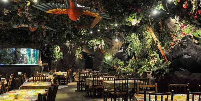 Jungle Club - photo 2